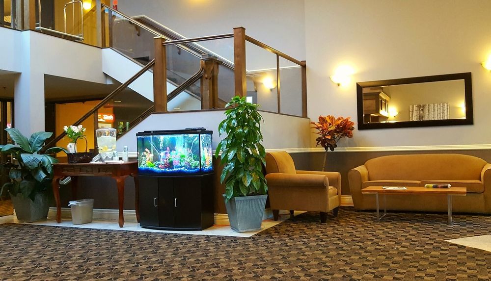 Quality Inn Камлупс Екстериор снимка